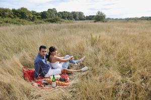 contento coppia godendo campagna picnic nel lungo erba foto