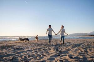 coppia con cane avendo divertimento su spiaggia su autunno giorno foto