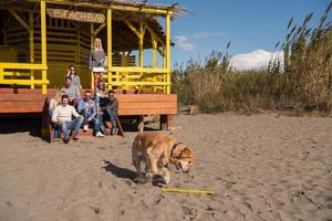 gruppo di amici avendo divertimento su autunno giorno a spiaggia foto