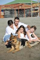 contento famiglia giocando con cane su spiaggia foto