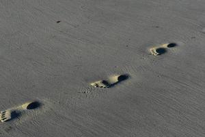 vicino su foto di piede stampe nel il sabbia