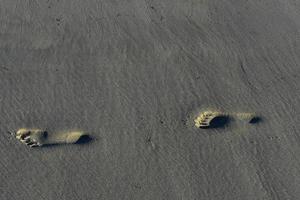 semplice sabbia piede stampe su il costa di Massachusetts foto