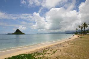 spiaggia delle hawaii foto