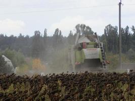 kyiv oblast, Ucraina - ottobre 02, 2022 combinare mietitore falcia e raccolti foto