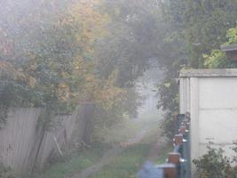 autunno mattina nebbia nel il villaggio foto