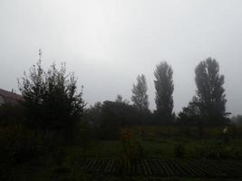 autunno mattina nebbia nel il villaggio foto