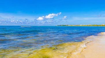 sorprendente tropicale spiaggia e caraibico mare chiaro turchese acqua Messico.