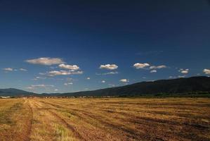 soleggiato giorno e drammatico cielo foto