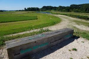 campo presso il fiume Danubio foto