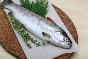 crudo trota su di legno tavola e di legno sfondo foto