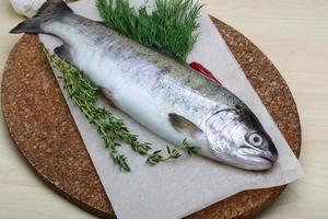 crudo trota su di legno tavola e di legno sfondo foto