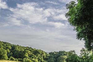 estate paesaggio colline e orizzonte foto