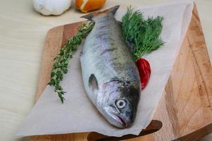 crudo trota su di legno tavola e di legno sfondo foto