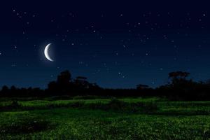 bellissimo notte nel prato con mezzaluna Luna e stelle. foto