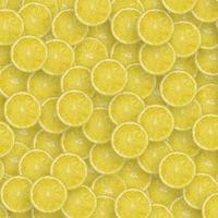 modello di giallo Limone agrume fette. agrume piatto posare foto