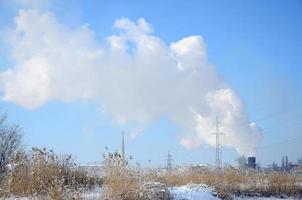 il industriale pianta è collocato dietro a il paludoso terreno, coperto con neve. grande campo di giallo giunchi foto