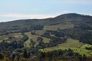 frammento di il montagnoso terreno nel il Carpazi, Ucraina. il foresta è perdonato di il rilievi di il carpazi montagne foto