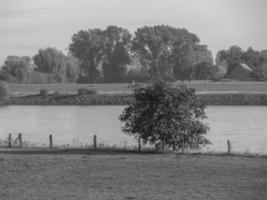 dispiacere a il Reno fiume nel Germania foto