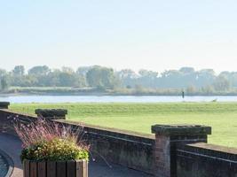 dispiacere a il Reno fiume nel Germania foto