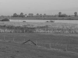 dispiacere a il Reno fiume nel Germania foto