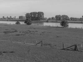 dispiacere a il Reno fiume nel Germania foto