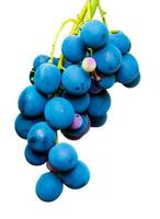 multicolore vino uva. copia spazio. morbido messa a fuoco sfondo foto