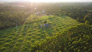 villaggio nel il mezzo di verde natura nel il campagna. nazione case e elettrico poli a coltivazione le zone o agricolo terra durante primavera. villaggio cortile nel Tailandia foto
