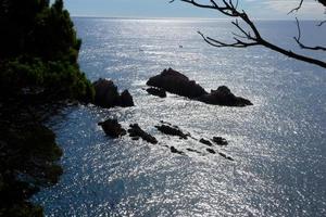 costa con rocce e blu mare pieno di alberi quello raggiungere quasi per il mare. foto