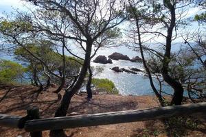 costa con rocce e blu mare pieno di alberi quello raggiungere quasi per il mare. foto