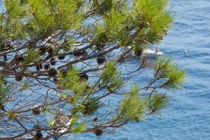 visualizzazioni di il costa brava su il mediterraneo mare, catalogna, Spagna foto