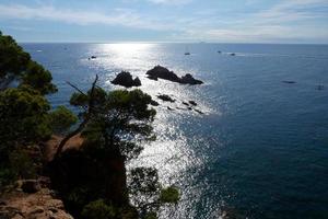 costa con rocce e blu mare pieno di alberi quello raggiungere quasi per il mare. foto