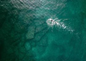 superiore giù aereo Visualizza di non identificabile maschio Aperto acqua nuoto nel turchese acqua. catturato nel cascais, Portogallo foto