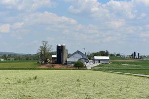 silos e fienili circondato di i campi nel presto primavera foto