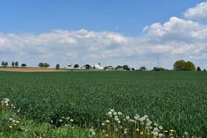 grande campo su un' azienda agricola nel Lancaster contea foto