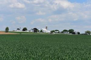 bello Lancaster contea azienda agricola con i campi e pascoli foto