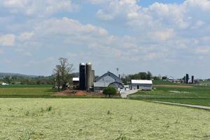 bellissimo terreni agricoli circondato di i campi nel Pennsylvania foto