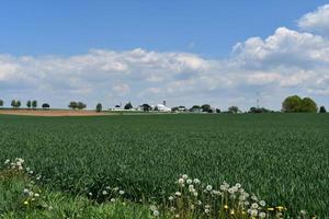 bella Pennsylvania terreni agricoli su un' simpatico primavera giorno foto