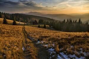 tramonto su un' montagna con alberi e i campi foto