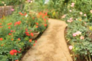 astratto sfocatura bellissimo Rose nel fiore giardino sfondo foto