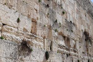 pietre di il lamento parete su il tempio montare nel il vecchio città di Gerusalemme. foto