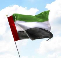 bandiera degli Emirati Arabi Uniti foto