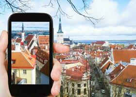 turista fotografie Tallinn città paesaggio urbano