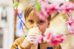 un' contento bambino mangia ghiaccio crema. un' sorridente poco ragazzo detiene 1 ghiaccio crema nel il suo mani, nascosto di il fioritura rami di un' albero. foto