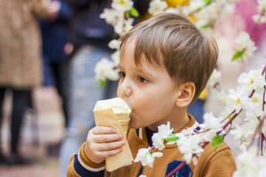 un' contento bambino mangia ghiaccio crema. un' sorridente poco ragazzo detiene 1 ghiaccio crema nel il suo mani, nascosto di il fioritura rami di un' albero. foto