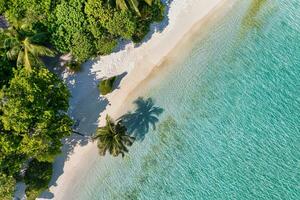 Maldive aereo isola paesaggio. tropicale spiaggia costa a partire dal drone. esotico natura, palma alberi al di sopra di bianca sabbia vicino per corallo scogliera, blu mare, laguna. estate e viaggio vacanza concetto. bellissimo natura foto