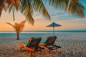 bellissimo tropicale spiaggia striscione. bianca sabbia e cocco palme viaggio turismo largo panorama sfondo concetto. sorprendente spiaggia paesaggio. meraviglioso spiaggia scenario, palma le foglie e sole letti con mare Visualizza foto