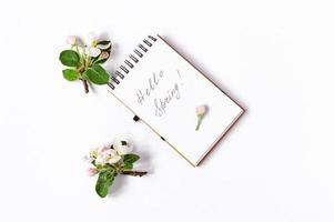 pagina con primavera fiori e taboni mini cuffie con manoscritto testo-ciao primavera.top Visualizza. un' modello di un' vacanza carta. foto