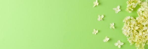 cosmetico sfondo con fiori su verde. piatto posizione, copia spazio foto