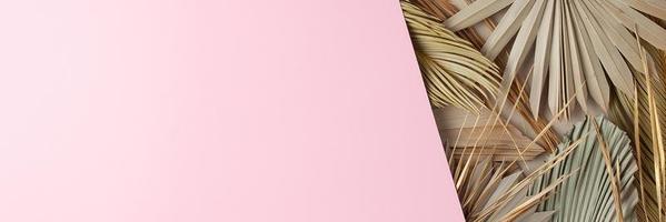 tropicale naturale sfondo con palma foglia su rosa. piatto posizione, copia spazio foto
