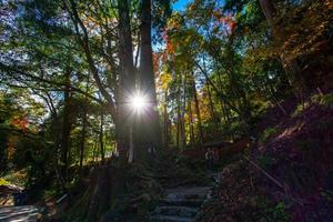 kurama, kyoto prefettura, kansai, Giappone - novembre 21, 2019 - turisti visitare per kifune Jinja, o kifune santuario, su montare kurama nel autunno foto